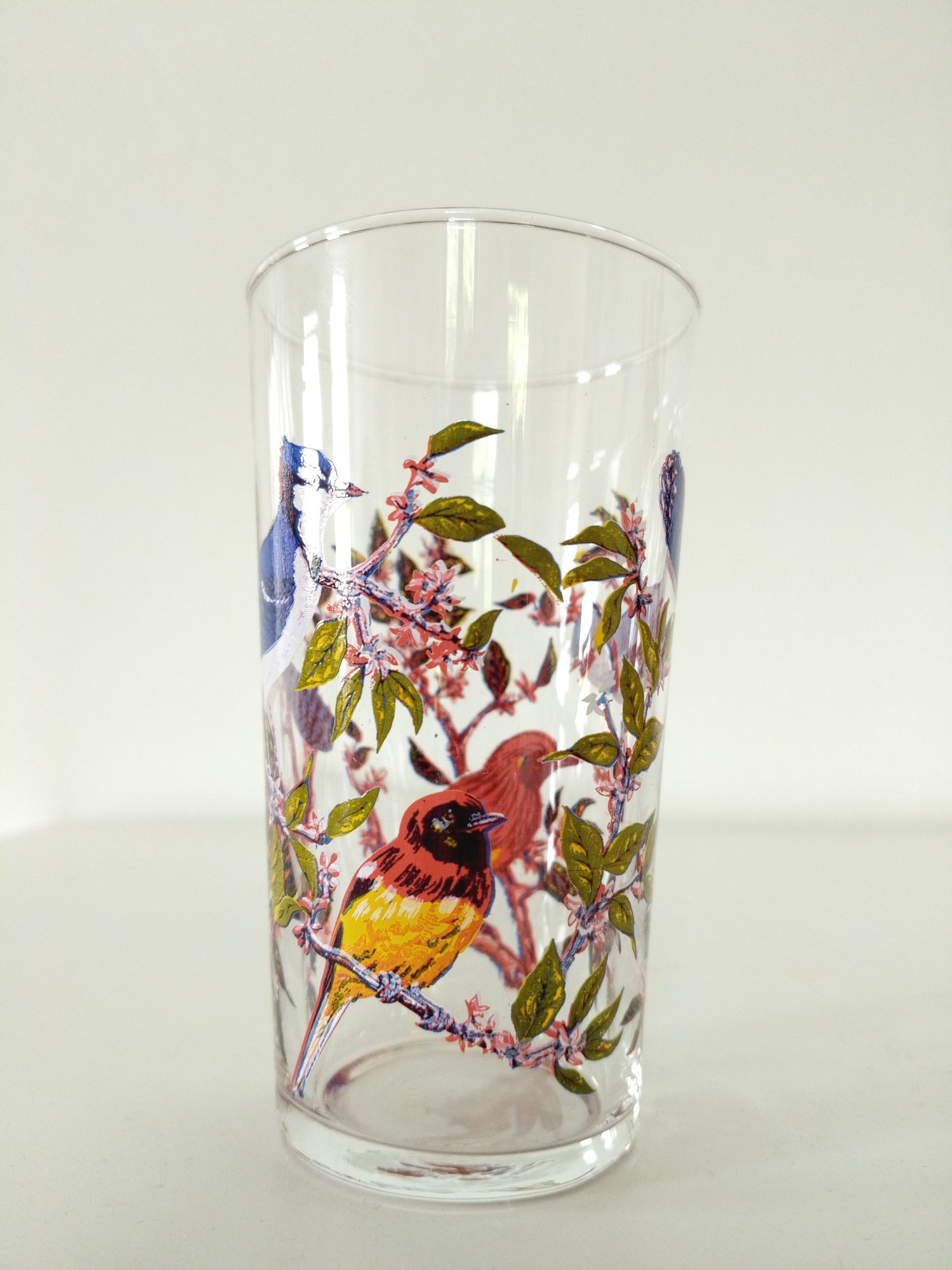 6 grands verres décor oiseaux - cetaitmieuxavant
