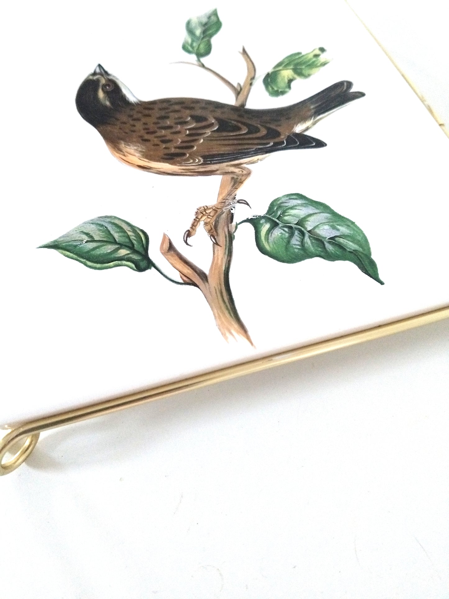 Dessous de plat Villeroy et Boch Bird