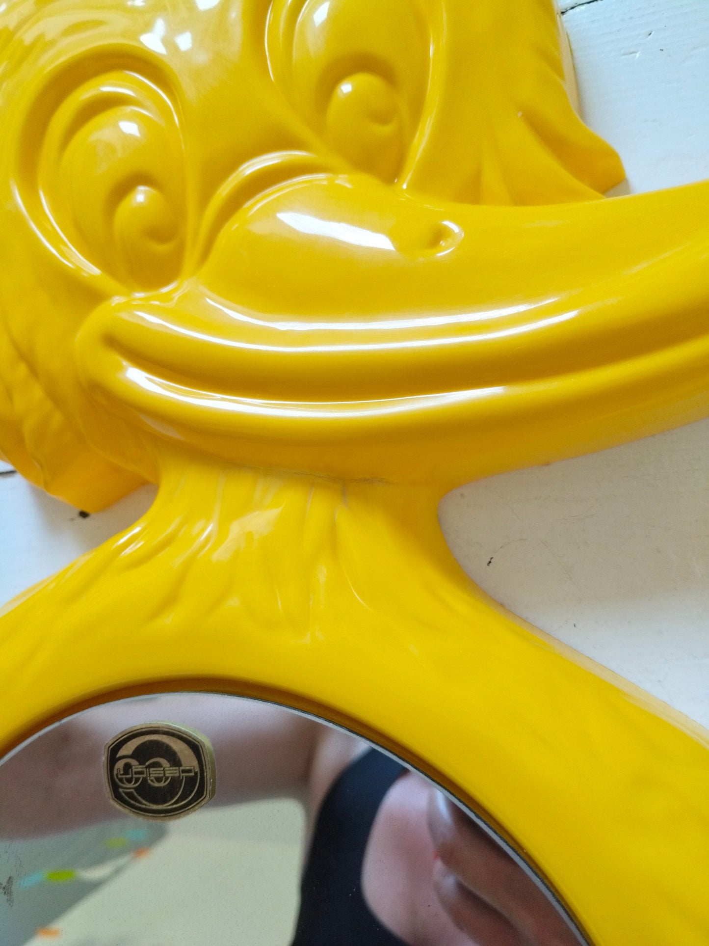 Miroir canard en plastique