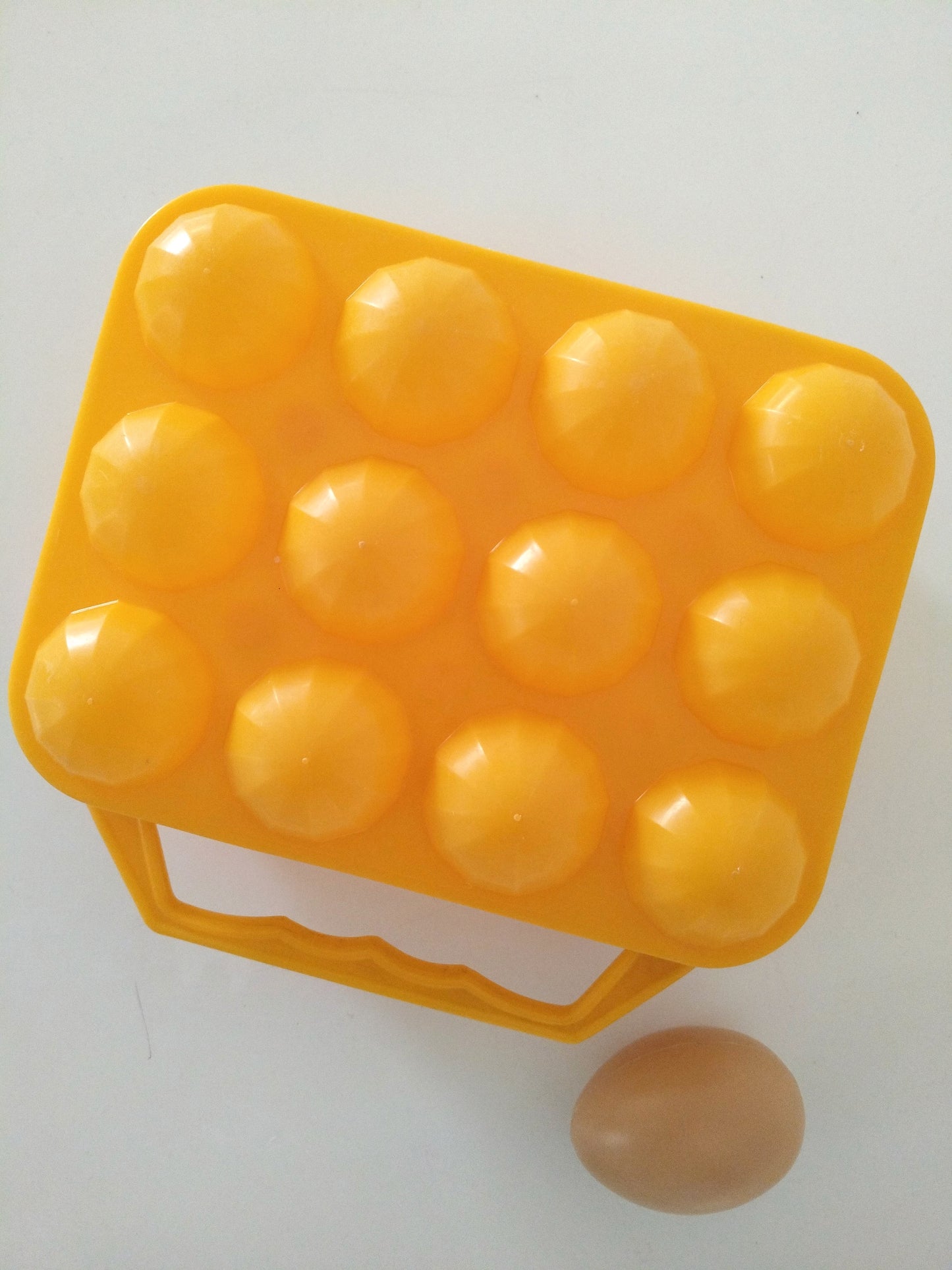 Boîte à 12 œufs en plastique