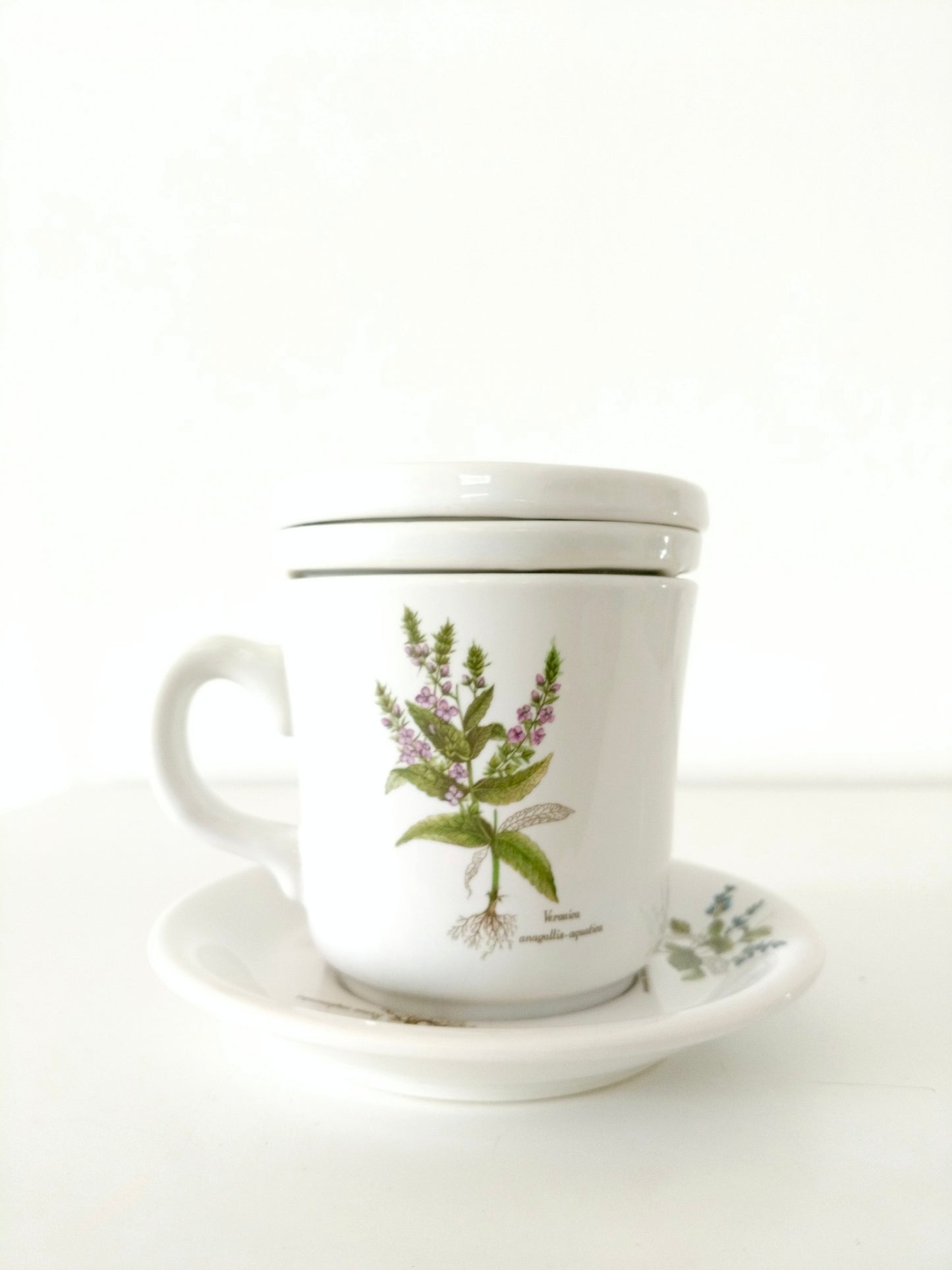 Tisanière porcelaine de France Revol