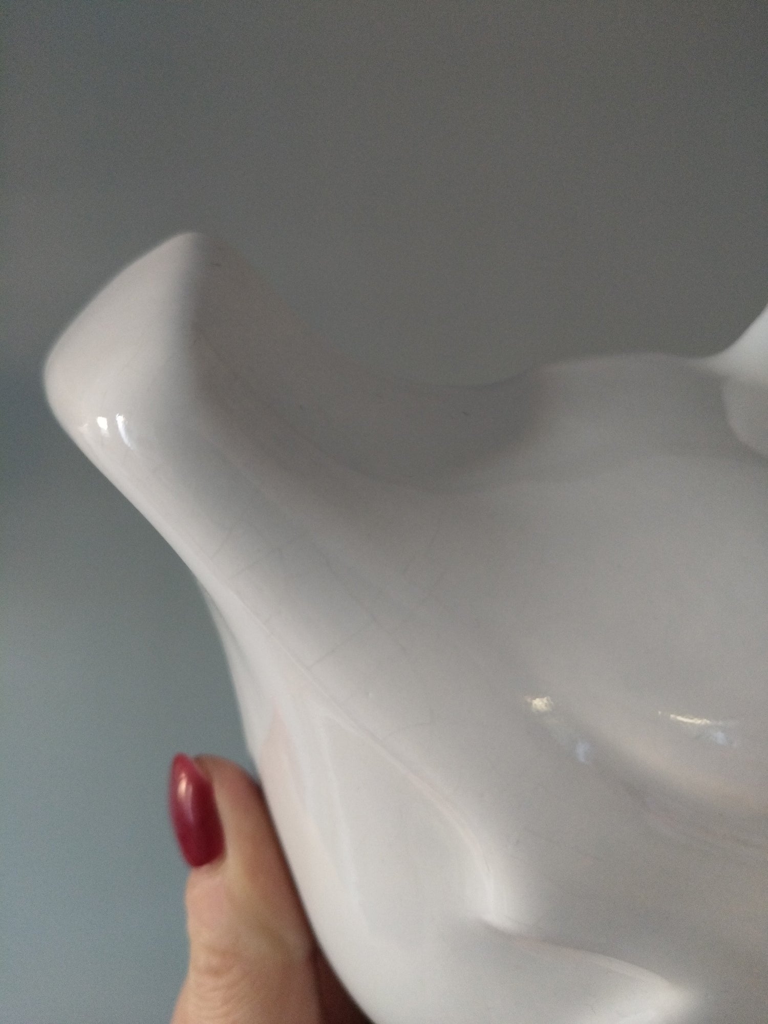 Ancien moule canard à pudding mural en porcelaine - cetaitmieuxavant