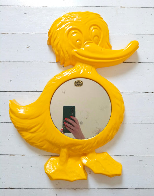 Miroir canard en plastique