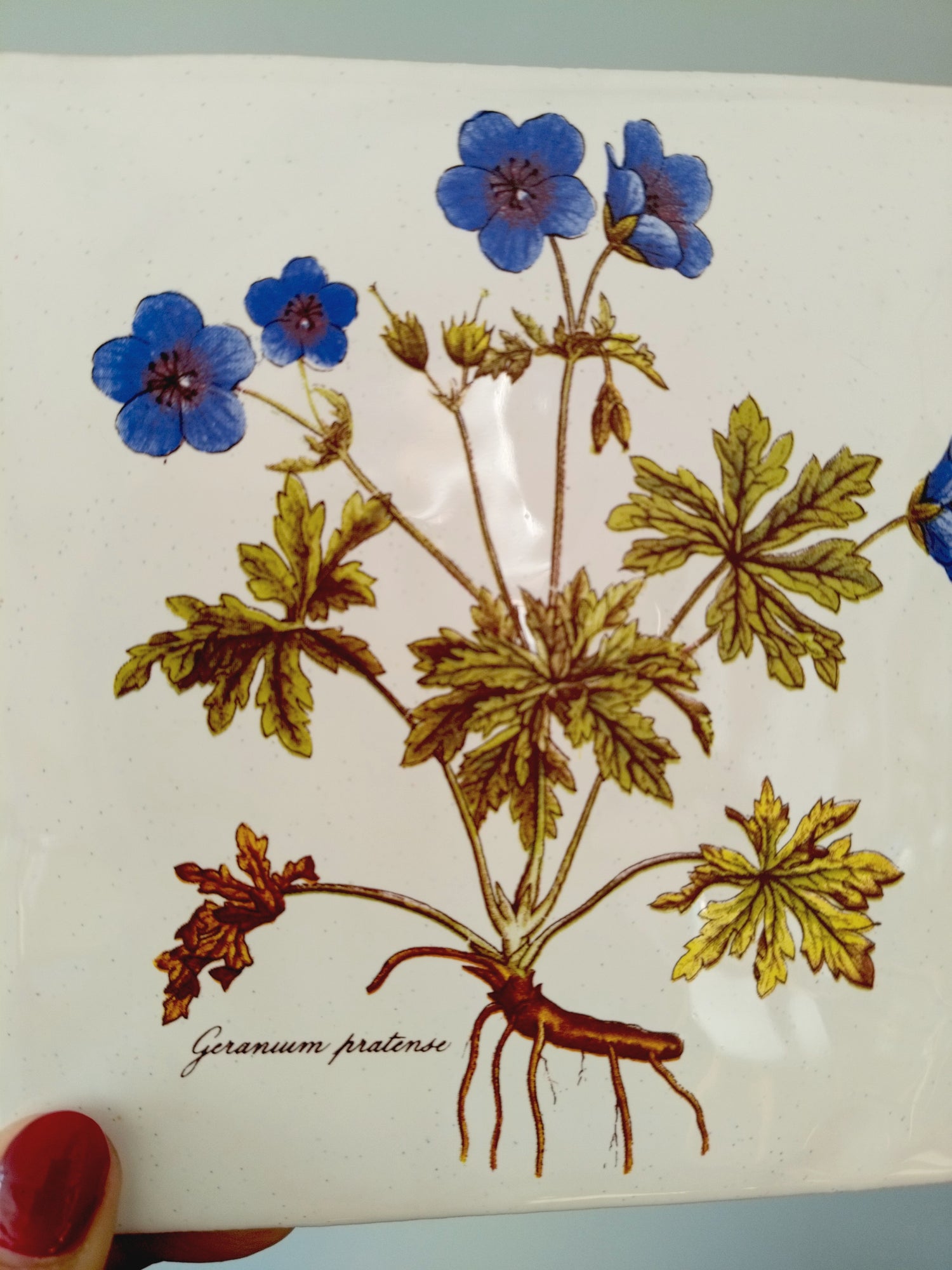 Dessous de plat/ carreau en grès Carnova Italy - cetaitmieuxavant