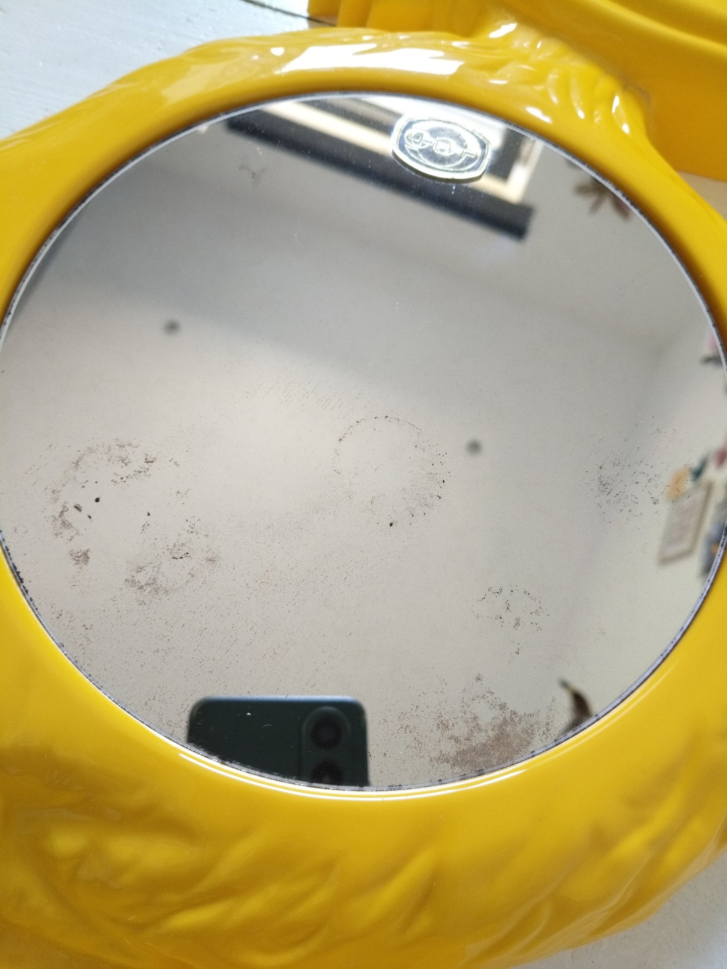 Miroir canard en plastique