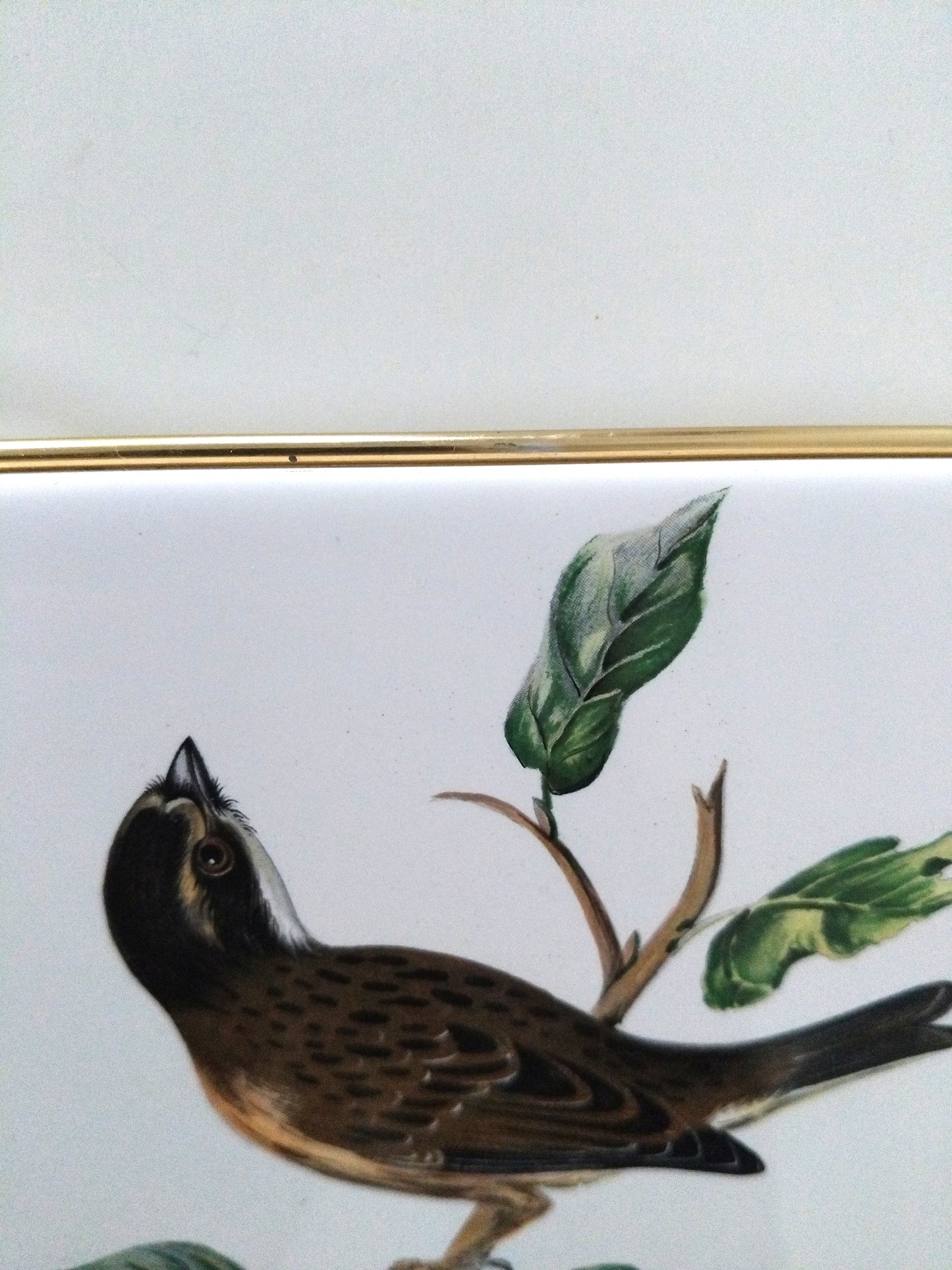 Dessous de plat Villeroy et Boch Bird