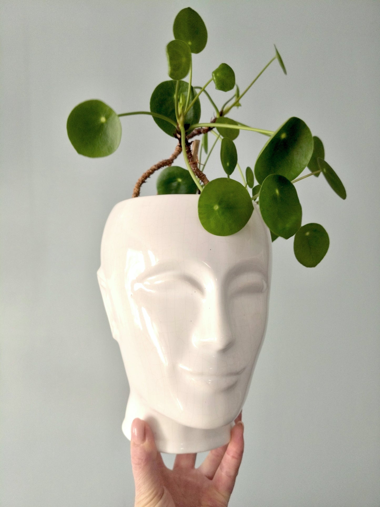 Grand cache-pot tête d'homme en céramique - cetaitmieuxavant