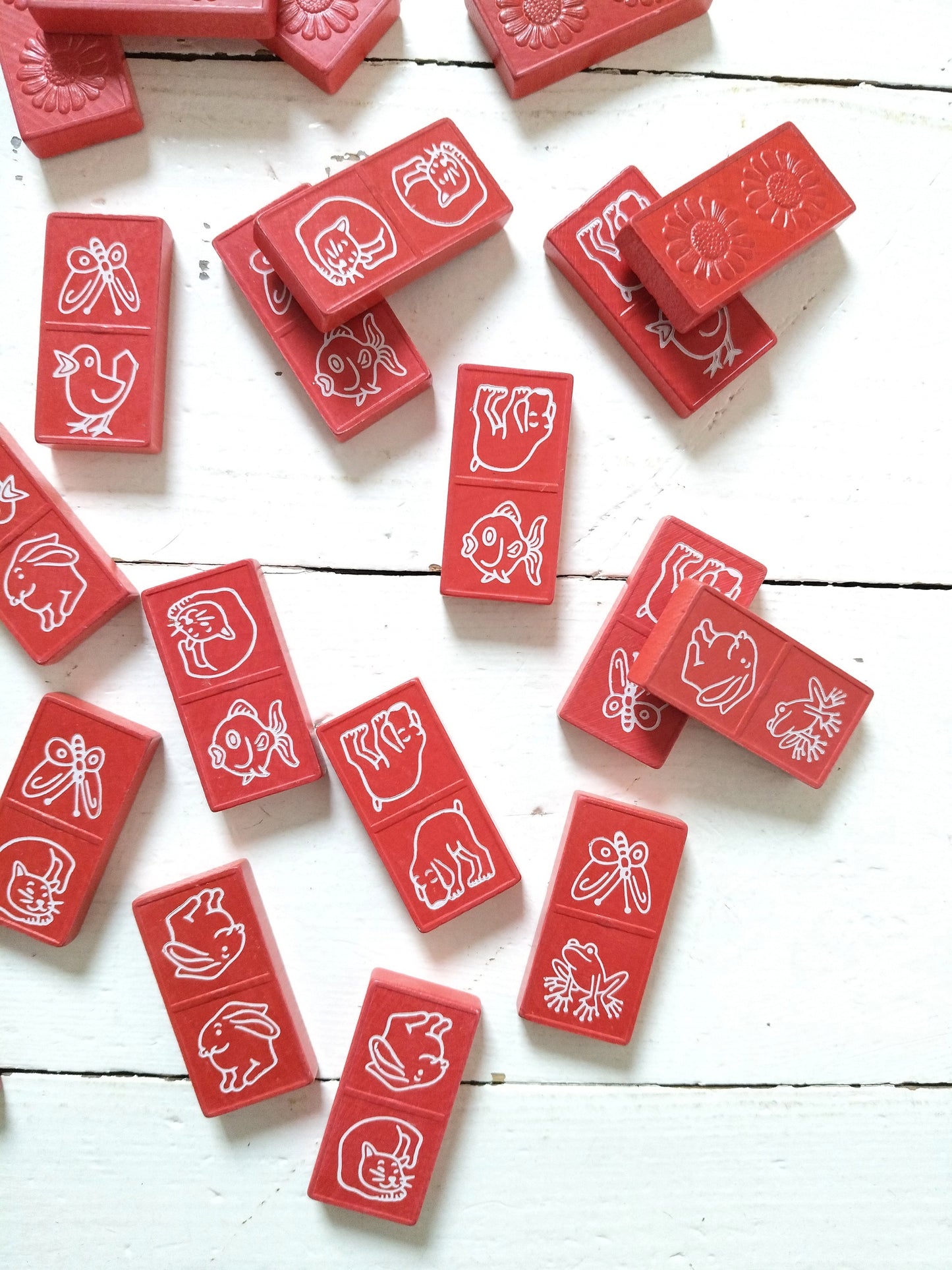 Domino des animaux par Edmond Dujardin