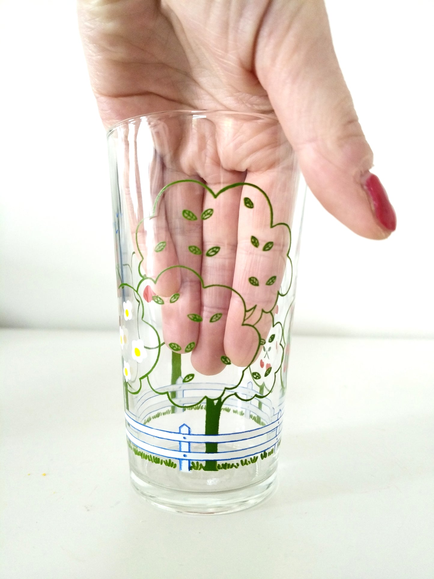 Duo de verres MC Reims